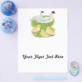 Ducks White Muscovy Family Flyer (Einzeln)