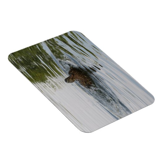 Duckschütteln Magnet (Rechte Seite)