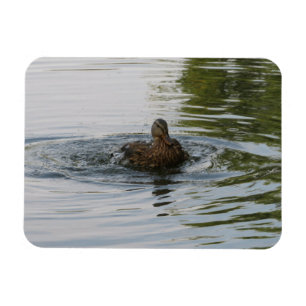 Duckschütteln Magnet