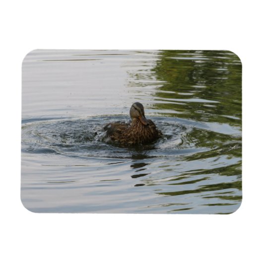 Duckschütteln Magnet (Horizontal)