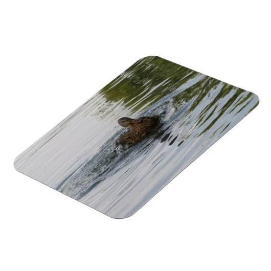 Duckschütteln Magnet (Linke Seite)