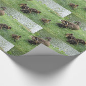 Duckt Geschenk-Packpapier Geschenkpapier (Ecke)