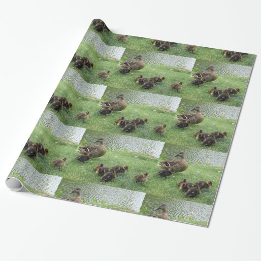 Duckt Geschenk-Packpapier Geschenkpapier (Ungerollt)