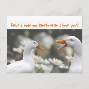 DucktoDuckLove Postkarte