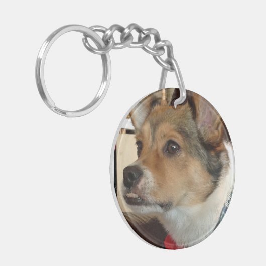 Ducky Hundedoppelseitige Schlüsselkette Schlüsselanhänger (Vorderseite links)