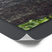 Ducky Print -24x20 -andere Größen verfügbar Poster (Ecke)