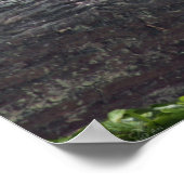 Ducky Print No Border -24x20-andere Größen verfügb Poster (Ecke)