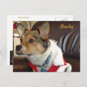 Ducky the Dog Postcard Postkarte (Vorne/Hinten)