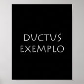 Ductus exemplo poster (Vorne)