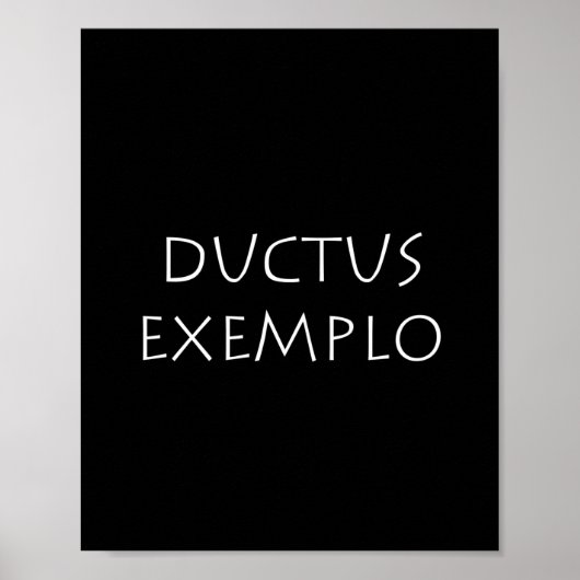 Ductus exemplo poster (Vorne)
