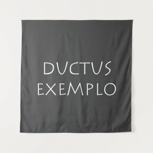 Ductus exemplo wandteppich (Vorderseite)