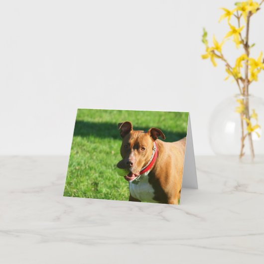 Dudley 2 Note Card Karte (Gelbe Blume)