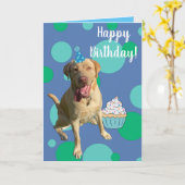 Dudley Labrador Birthday Card Karte (Gelbe Blume)