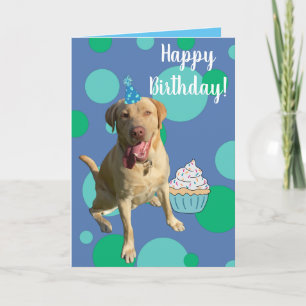 Dudley Labrador Birthday Card Karte