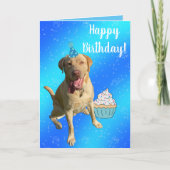 Dudley Labrador Birthday Card Karte (Vorderseite)