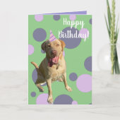 Dudley Labrador Birthday Karte (Vorderseite)