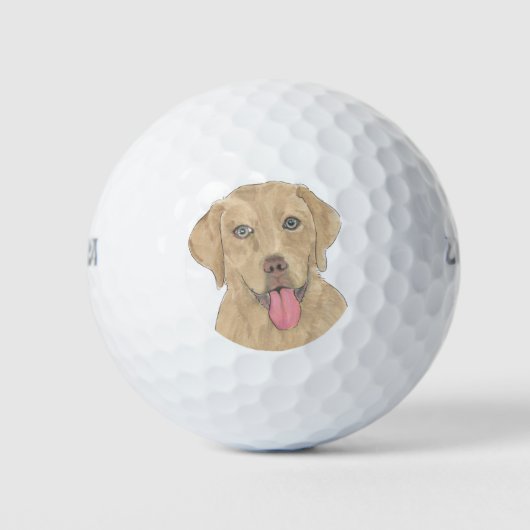 Dudley Labrador Golfball (Vorderseite)
