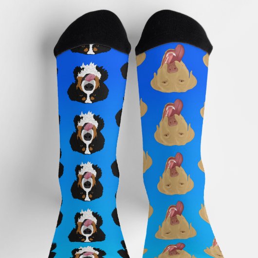 Dudley Labrador und Bernese Mountain Dog Socken (Oben)