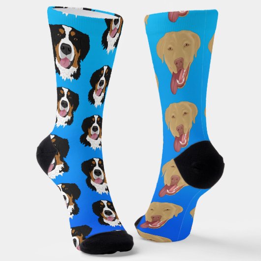 Dudley Labrador und Bernese Mountain Dog Socken (Gewinkelt)