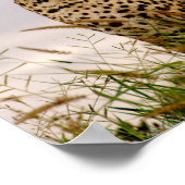 Dudley River Bank Poster (Ecke)