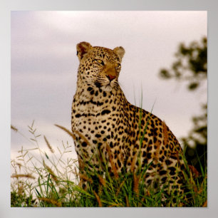 Dudley River Bank Poster