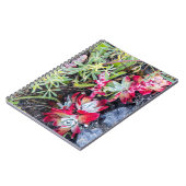 Dudleya-Küste an der Stelle Reyes National Seehote Notizblock (Linke Seite)