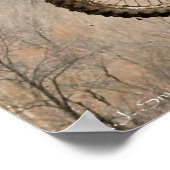 Duel im Dirt Poster (Ecke)