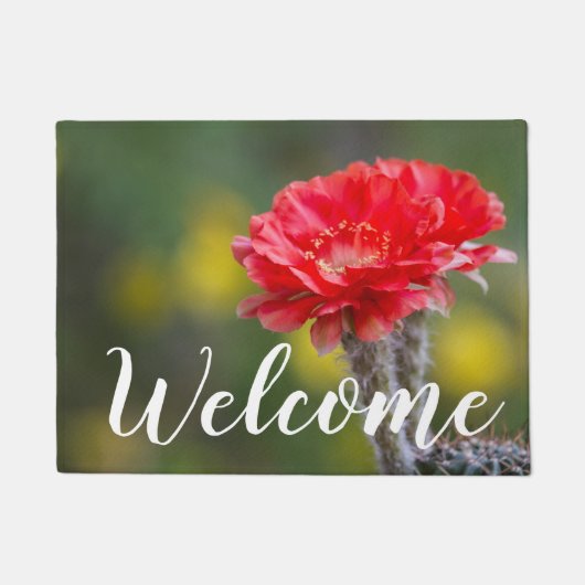 Duet of Firelight Kaktus Blume Doormat Fußmatte (Vorderseite)