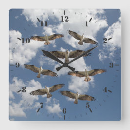 Duet of Ospreys in der Himmelsfotografie Quadratische Wanduhr