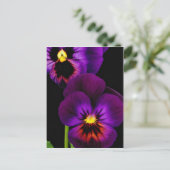 Duett von lila Stiefmütterchen, Blume des Washingt Postkarte (Stehend Vorderseite)