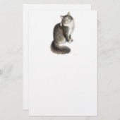 Duffy, das Maine Coon Cat Stationery Briefpapier (Vorne/Hinten)