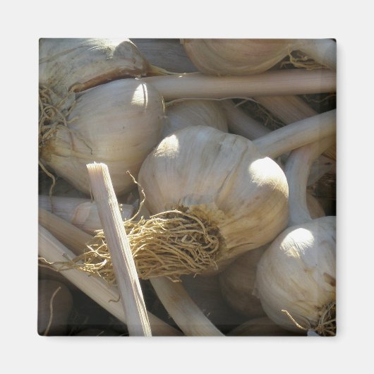 Duft köstlich in Rohform Magnet (Vorne)