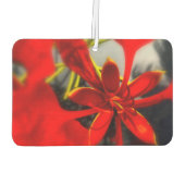 Duftblume Autolufterfrischer (Rückseite)