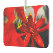 Duftblume Autolufterfrischer (Links)