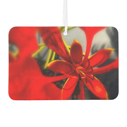 Duftblume Autolufterfrischer (Vorderseite)