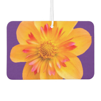 Duftblüte Autolufterfrischer