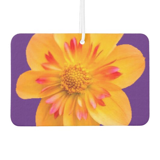Duftblüte Autolufterfrischer (Vorderseite)