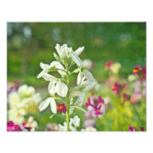 Duftgarten Fotodruck (Vorne)