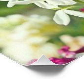 Duftgarten Fotodruck (Ecke)