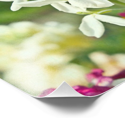 Duftgarten Fotodruck (Ecke)