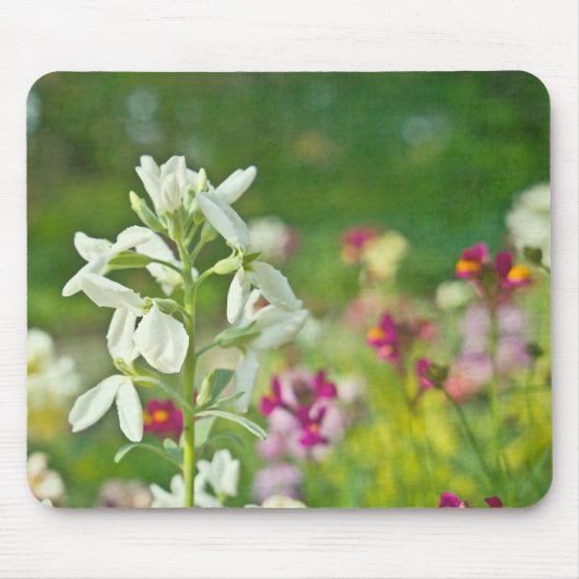 Duftgarten Mousepad (Vorne)