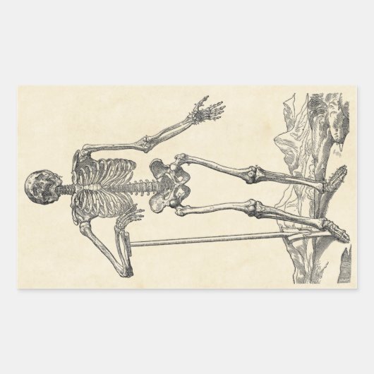 Dug seinen eigenen Grabsticker Rechteckiger Aufkleber (Vorderseite)