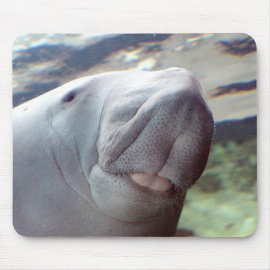 Dugong Lächeln Mousepad (Vorne)
