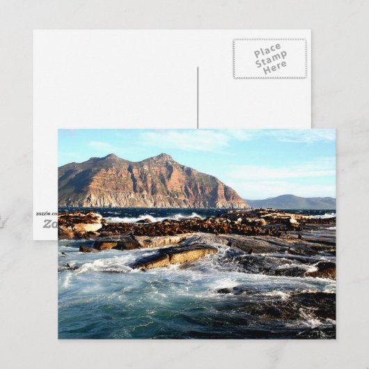 Duiker Island, Südafrika Postkarte (Vorne/Hinten)