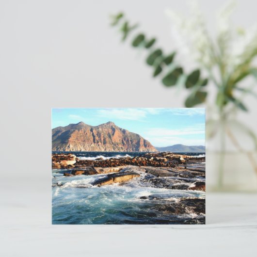 Duiker Island, Südafrika Postkarte (Stehend Vorderseite)