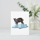 Duiker - Urlaubskarte Feiertagskarte (Stehend Vorderseite)