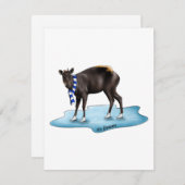 Duiker - Urlaubskarte Feiertagskarte (Vorne/Hinten)