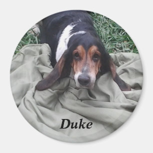 Duke Haustier Magnet