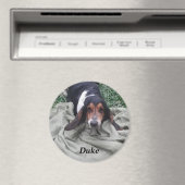 Duke Magnet (In Situ (Geschirrspüler))