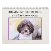 Duke The Labradoodle Kalender (Titelbild)